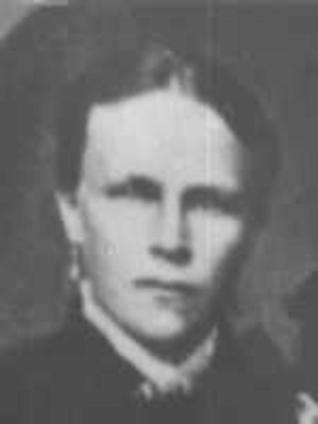 Mary Murray Murdock (1852 - 1917) Profile